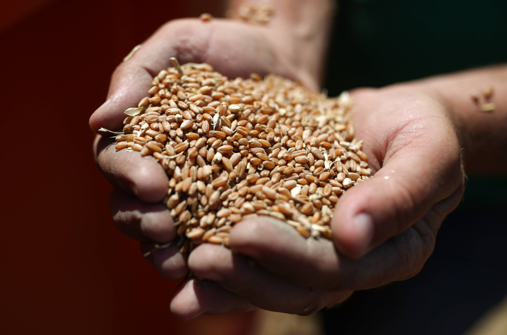 agricultural production
