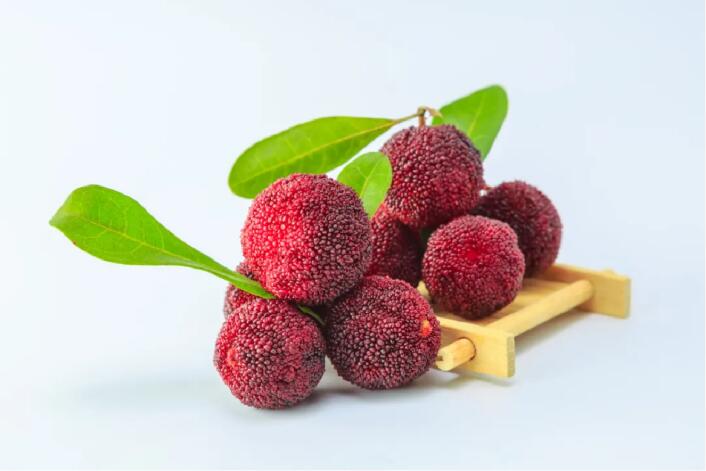 bayberry fruit