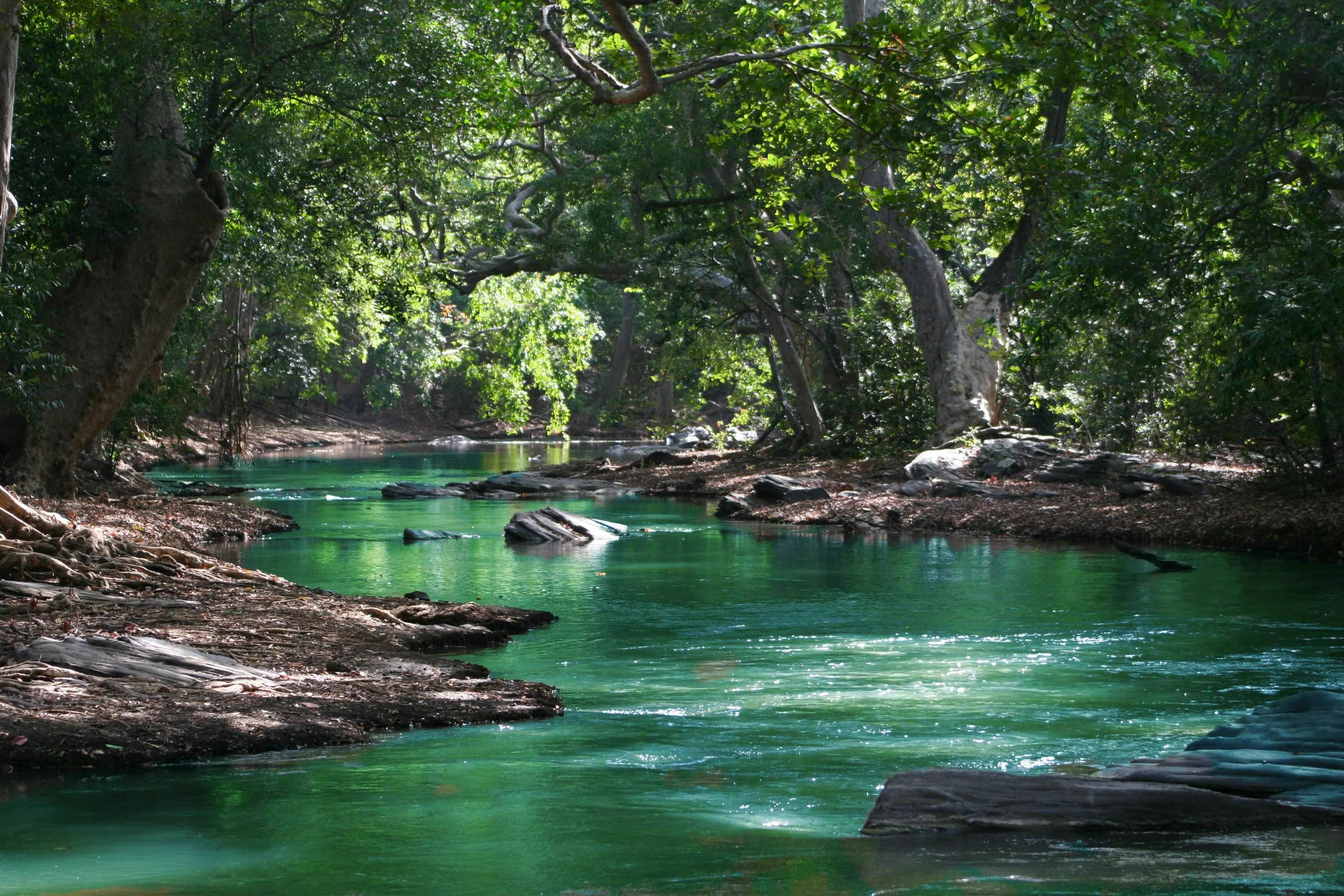 Water quality monitoring solution