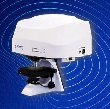 AI-Enhanced Raman Analysis