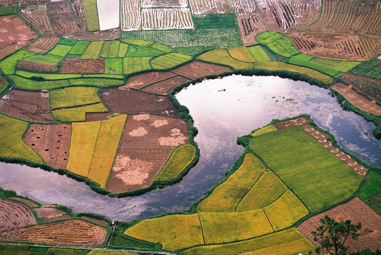 precision agriculture