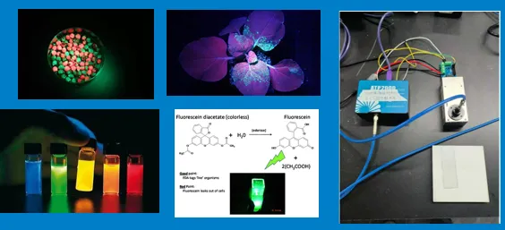 UV-enhanced CMOS Spectrometer Sensor