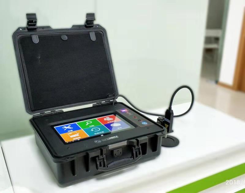 What is application of Raman spectroscopy in the rapid detection of food components?