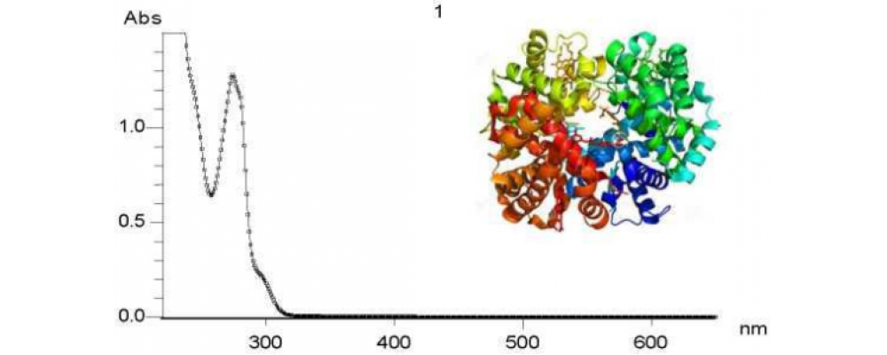 How to use quantitative methods to rapid test proteins by using Ultra-micro spectrophotometer?