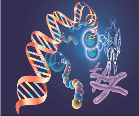How to apply the Ultra-Micro Spectrophotometer in nucleic acid quantification and analysis?