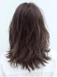 How is the Intelligent Hair Trace Drugs Analyzer for identification？