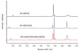 What applications can The Raman spectrometer be used in the identification of physical evidence?
