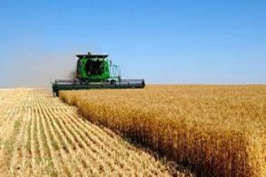 Fast Detect Field Soils by Reflectance Spectroscopy