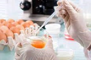 How to Predict Egg Freshness of New Varieties by VIS-NIR Spectroscopy