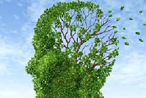 Traumatic Brain Injuries Detection By NIR spectroscopy