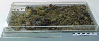 The application of FTIR  in a non-invasive and non-destructive way to the study and conservation of mineralised excavated textiles