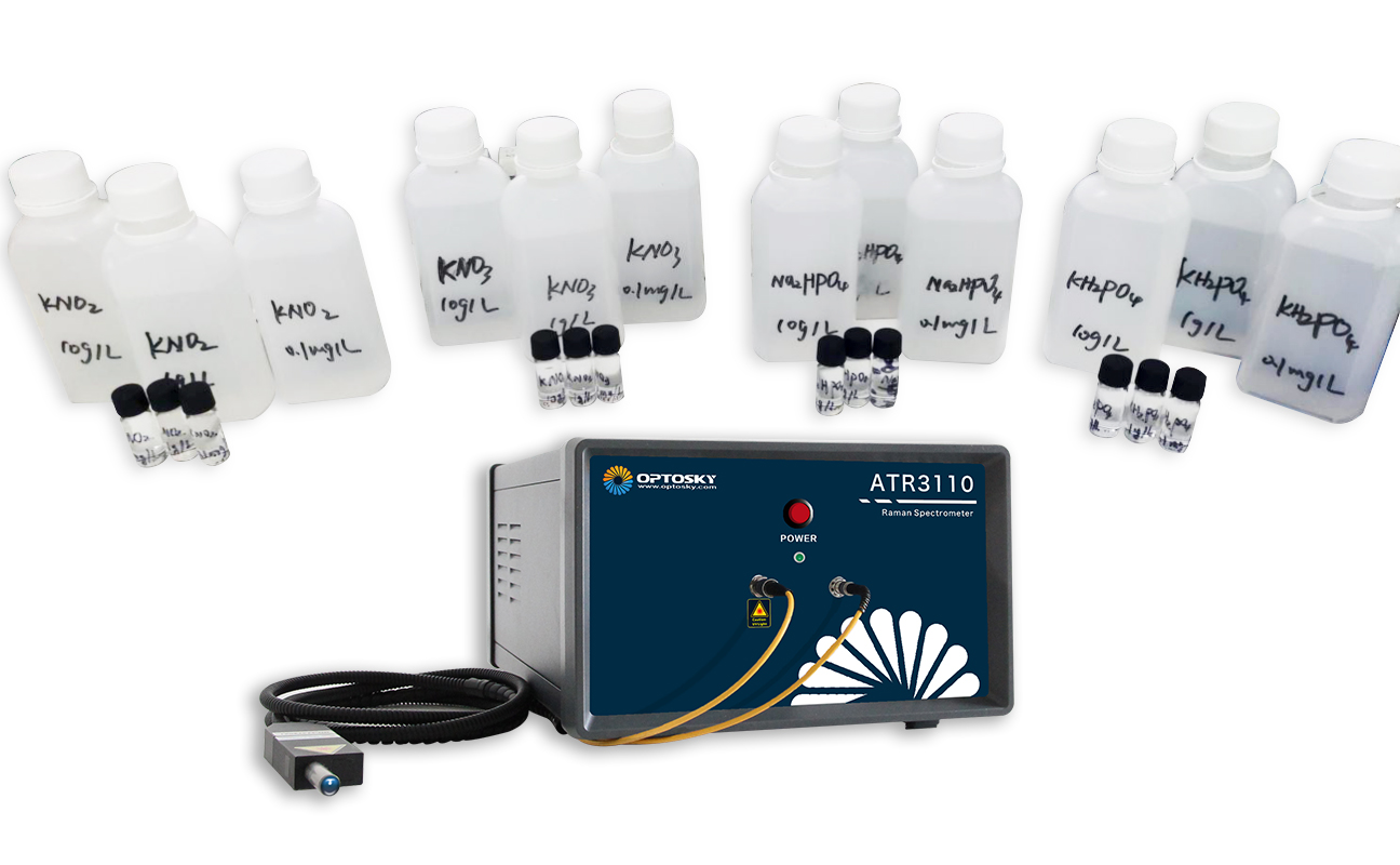 Raman spectrometer environmental detection