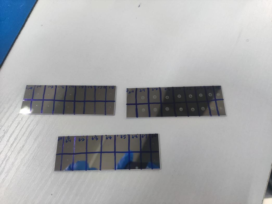 (Suzhou Institute of Biomedical Engineering Technology, Chinese Academy of Sciences)Escherichia coli sample and Staphylococcus aureus Raman spectrum detection report on silver substrate