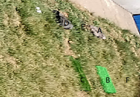 Application of Hyperspectral Imager in Disguised Target Recognition(part 2)